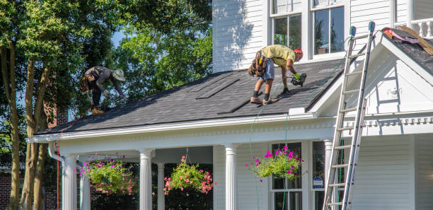 Best Roof Moss and Algae Removal  in Seacliff, CA